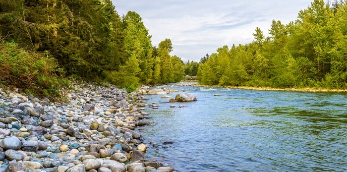  A man in his 30s has died after he was swept away in the Capilano River while fishing. Photo: River in North Vancouver, Capilano Park/Shutterstock