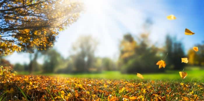  Photo: Sunny fall day / Shutterstock