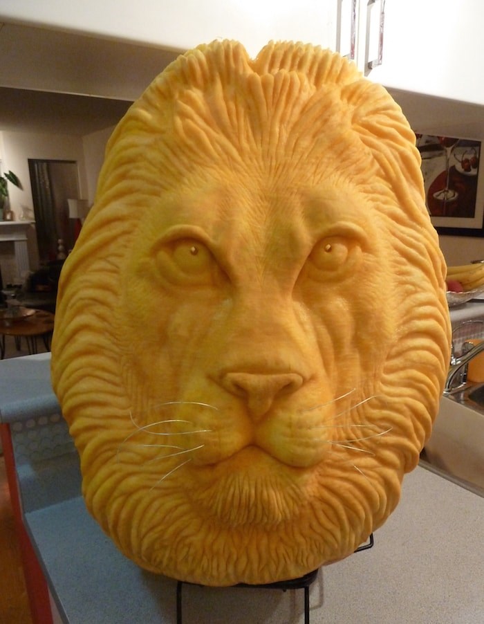  An adult lion pumpkin carving. Photo courtesy Clive Cooper