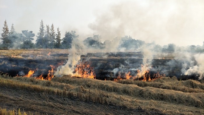  Electrical technicians from Coquitlam, B.C. are headed to Northern California, tasked with rebuilding fire-damaged power lines in what could be round-the-clock shifts of dangerous work. Photo: California wildfire/Shutterstock