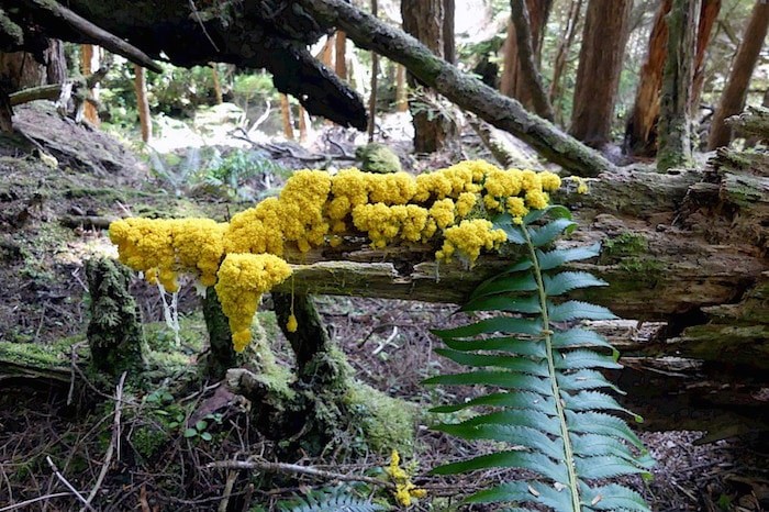  Photo: Kiara Gannon in Naikoon Provincial Park