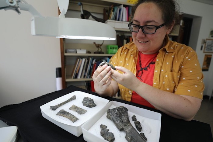  Dr. Arbour with the Royal BC Museum's paleontology collections. Photo courtesy Royal BC Museum