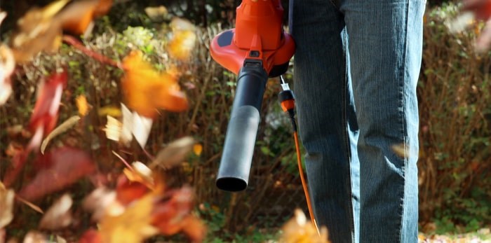  A Vancouver man received death threats for starting a petition to ban gas-powered leaf blowers in Saskatoon. Photo: Shutterstock