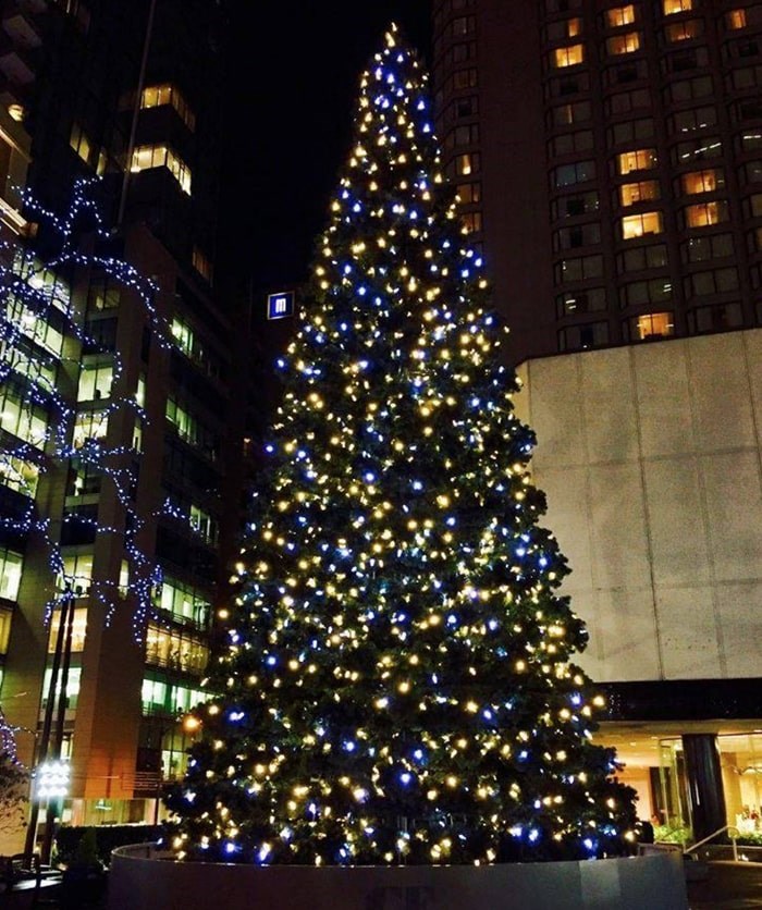  Vancouverites are invited to come together to watch the magical tree light up at CF Pacific Centre on Thursday, Nov. 14. Photo: CF Pacific Centre