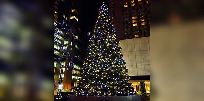  Vancouverites are invited to come together to watch the magical tree light up at CF Pacific Centre on Thursday, Nov. 14. Photo: CF Pacific Centre