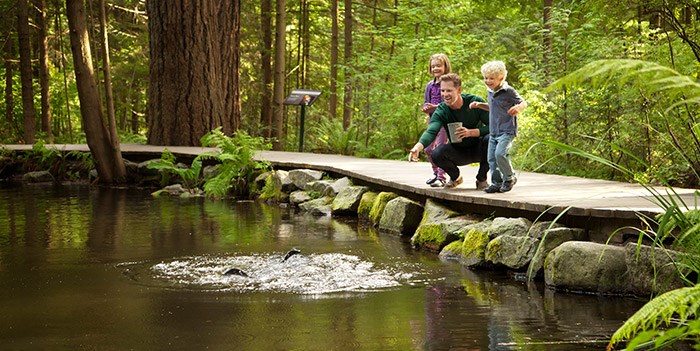 This nature focused speaker series will discuss the importance of Vancouver’s nature hot spots