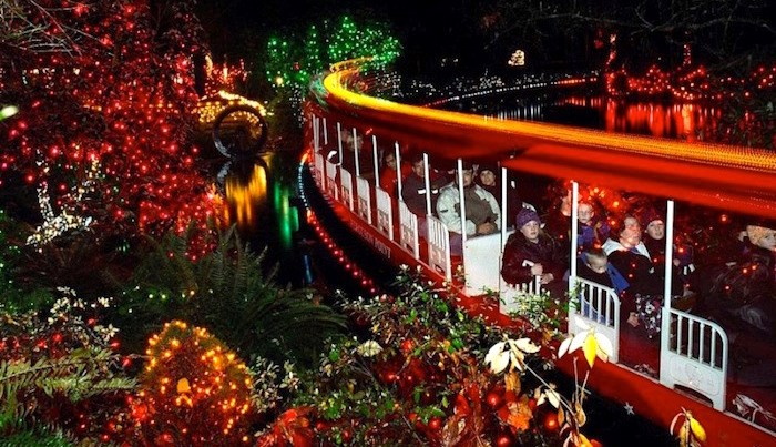  The Bright Nights Christmas Train will chug merrily around in Stanley Park this holiday season. Photo: 