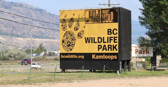 BC Wildlife Park. Photo: Brendan Kergin