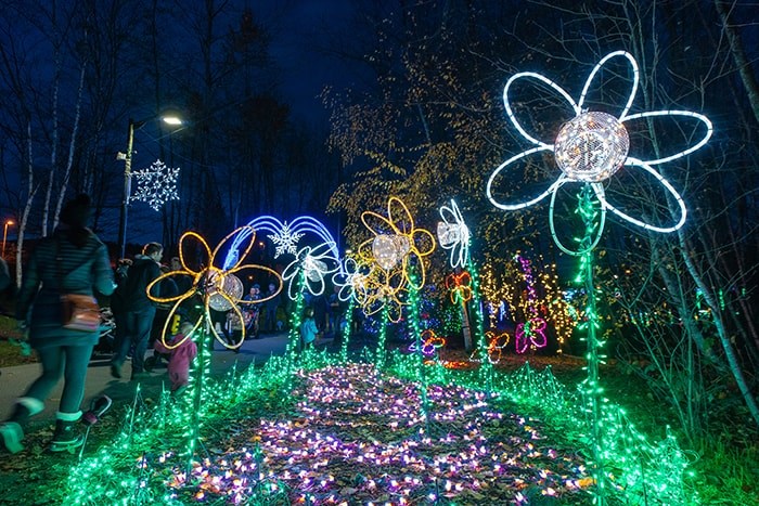  The Lights at Lafarge will once again illuminate the season from November to January. Photo: City of Coquitlam