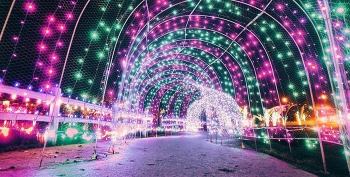  The Lights at Lafarge will once again illuminate the season from November 30. Photo: Duykhanh Tran / @backyy Instagram