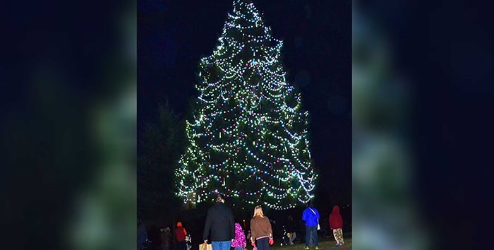  Burnaby will come alive with festive cheer next week when the city’s official Christmas tree is lit up for the holiday season. Photo: City of Burnaby