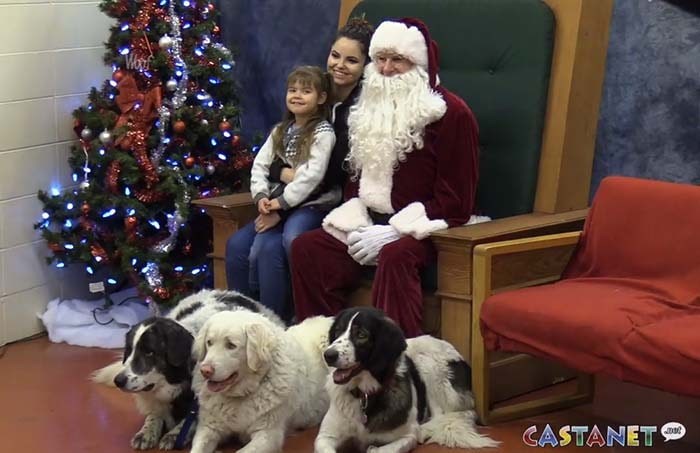  Penticton's SPCA was a full house Saturday with over 80 pets and their owners checking in for the annual SPCA photos with Santa Claus. Photo: Castanet