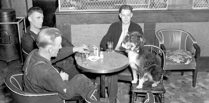  In Everything British Columbia: The Ultimate Book Of Lists, authors Bethany Lindsay and Andrew Weichel outline some of the best — and occasionally the worst — aspects of B.C., including a tale of Mike the bartending dog. Photo supplied City of Vancouver Archives