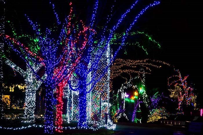  Seattle Wildlights takes place at Woodland Park Zoo this holiday season. Photo Woodland Park Zoo