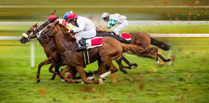  Photo: horseracing / Shutterstock