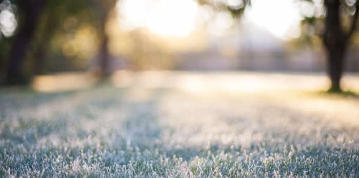  Photo: frosty morning sunshine / Shutterstock