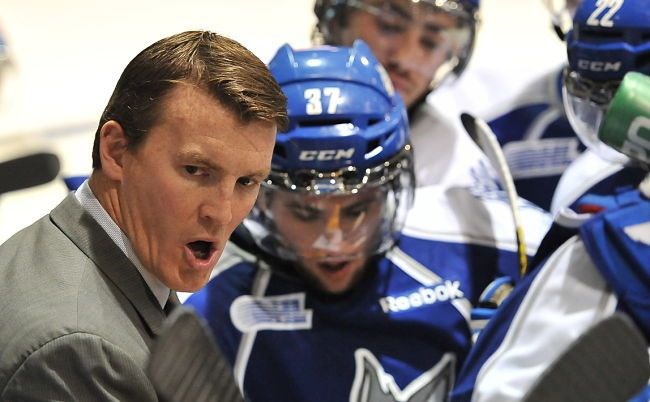 Trent Cull head coach of the Utica Comets