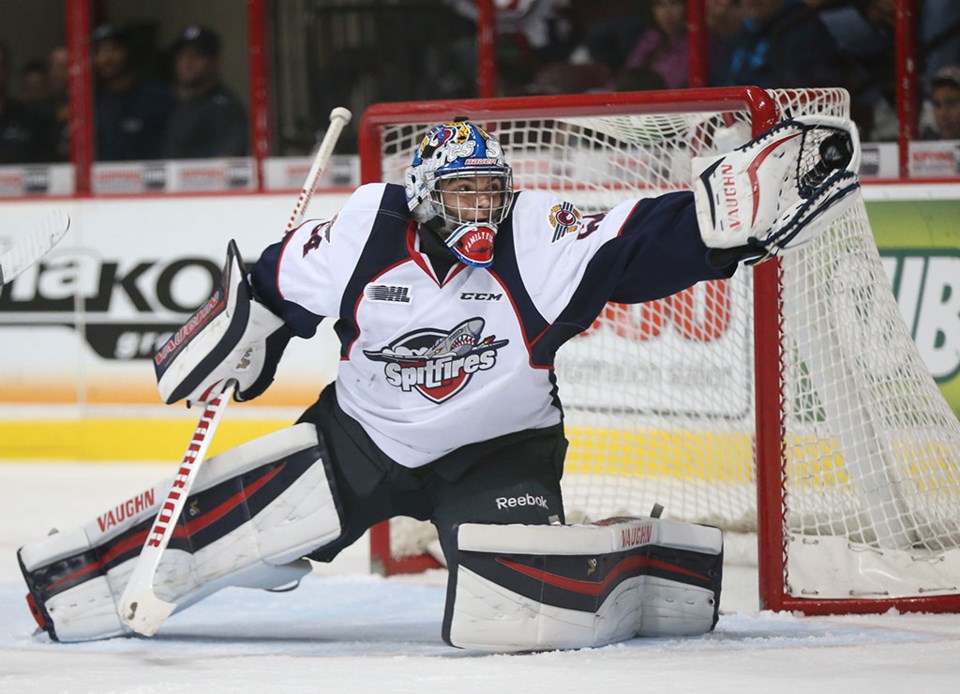 Michael DiPietro