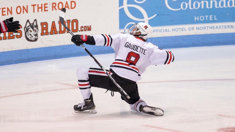 Adam Gaudette celebrates a goal.