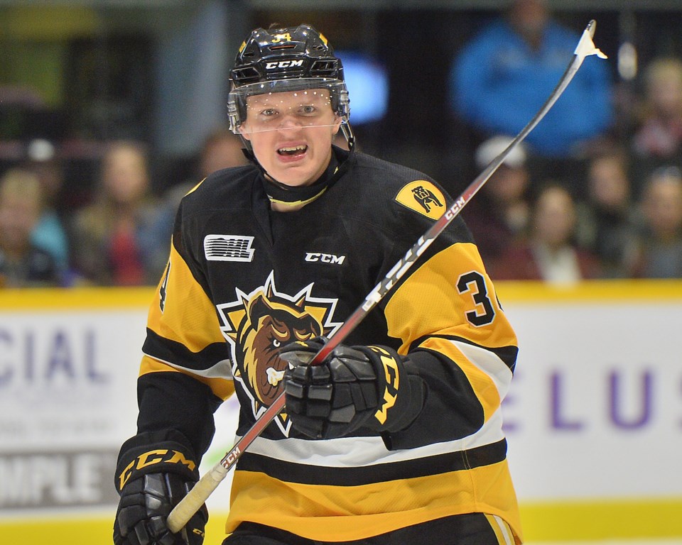 Arthur Kaliyev of the Hamilton Bulldogs.