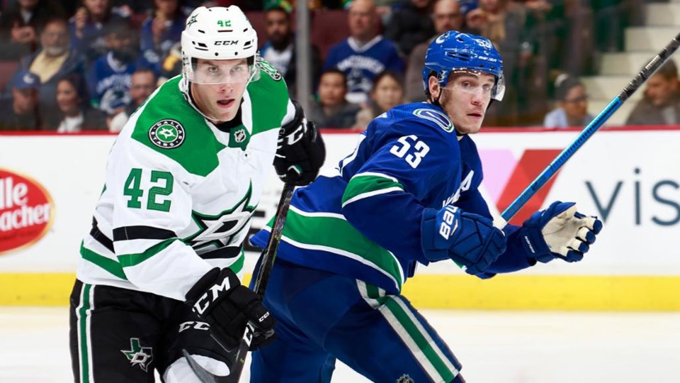 Taylor Fedun and Bo Horvat look for the puck.