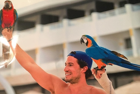 Michael Del Zotto Parrots
