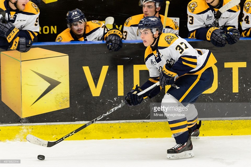 Alexis D'Aoust has crazy eyes and is one of the most intriguing invitees to Canucks camp