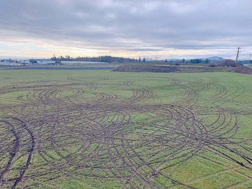 a4-12312019-longiew-farms-jpg