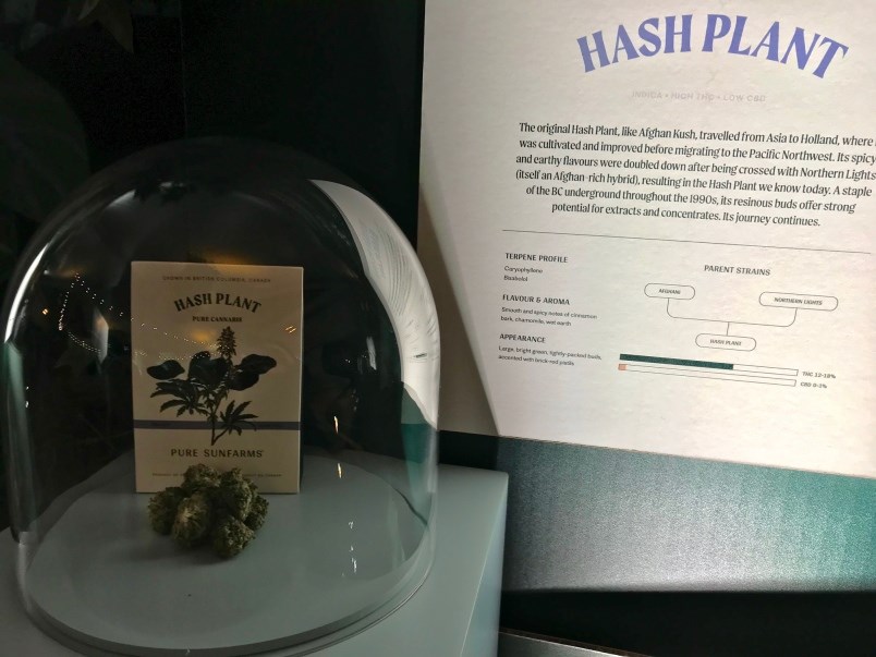 delta-cannabis-grower