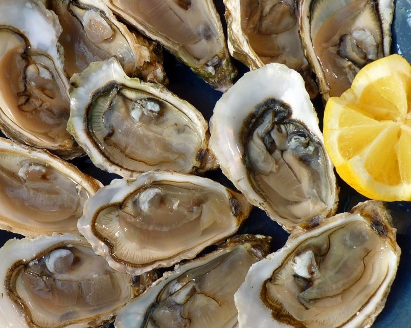 Metro Vancouver seafood company issues recall for oysters due to