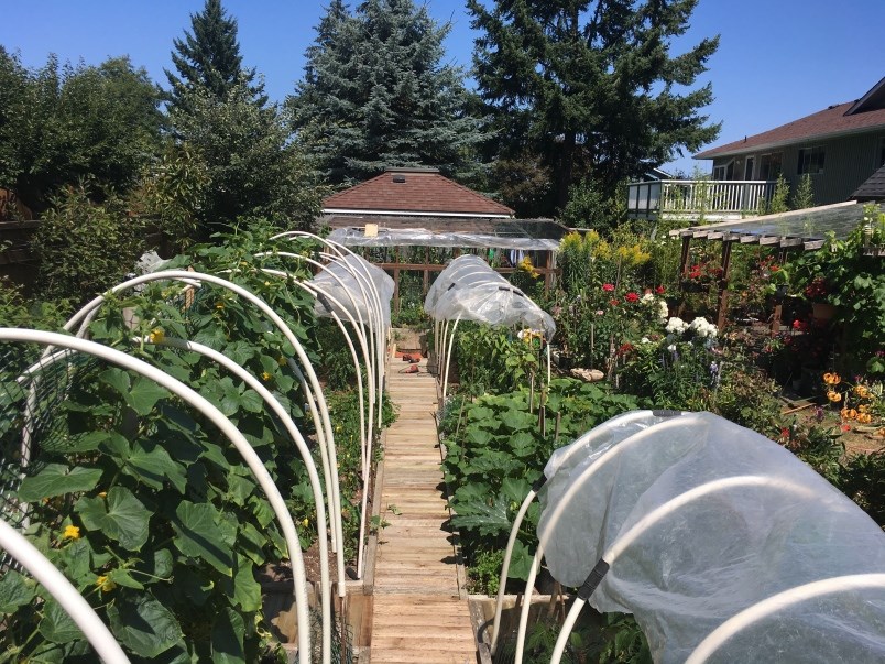 the-results-of-home-gardening-can-be-impressive-photo-john-kurucz