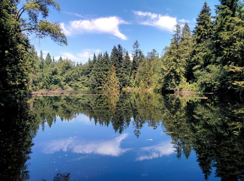mundy-park-is-one-of-several-coquitlam-parks-the-city-is-urging-residents-to-consider-to-avoid-crowd
