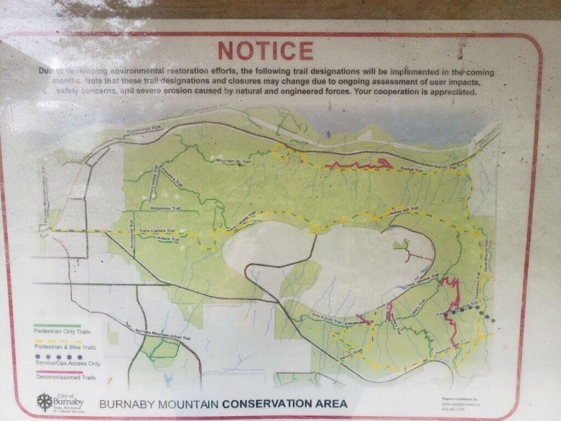 burnaby-mountain-trails