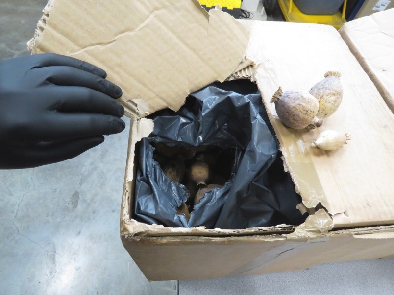 border-drug-bust