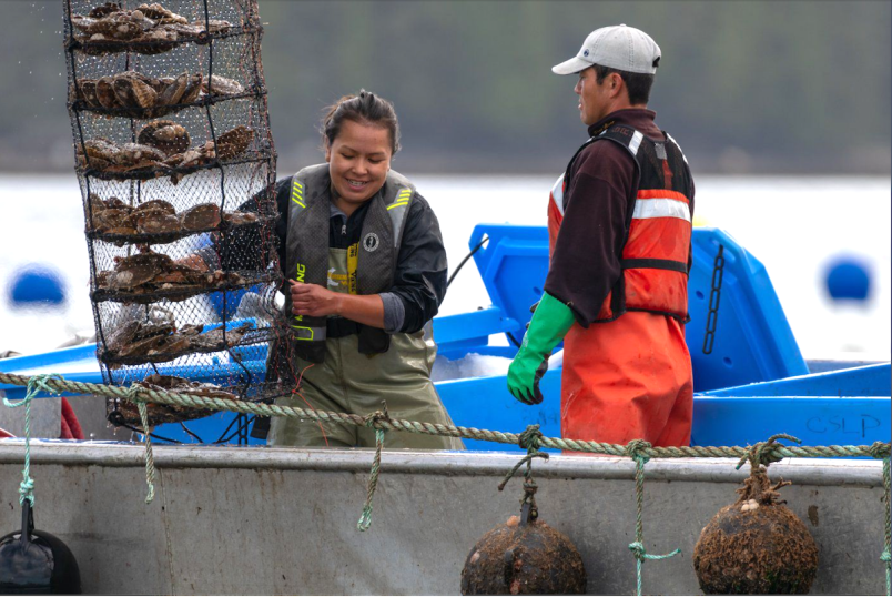 coastal-shellfish
