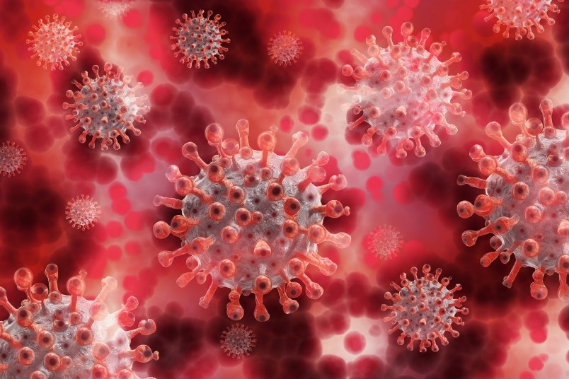corona-photo-for-outbreak-story