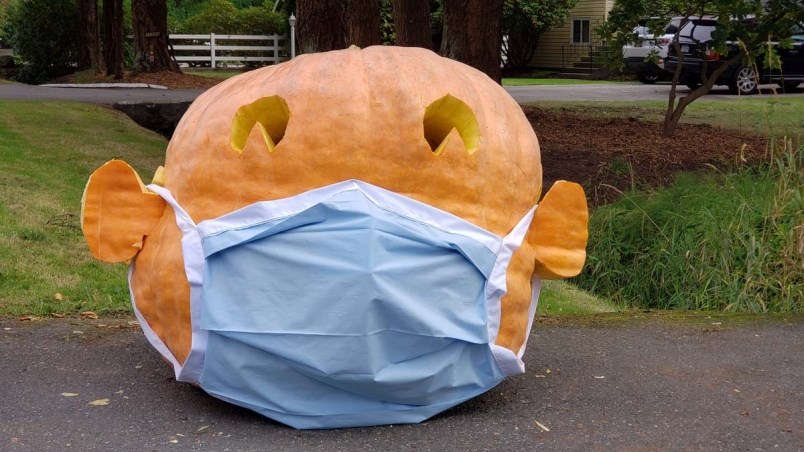 Dave Chan's latest giant pumpkin, a sign of the times. Photo submitted