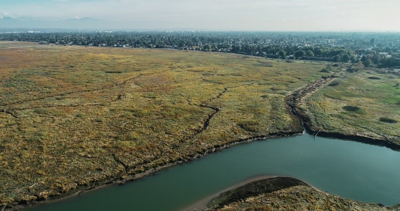 fraser-river-estuary