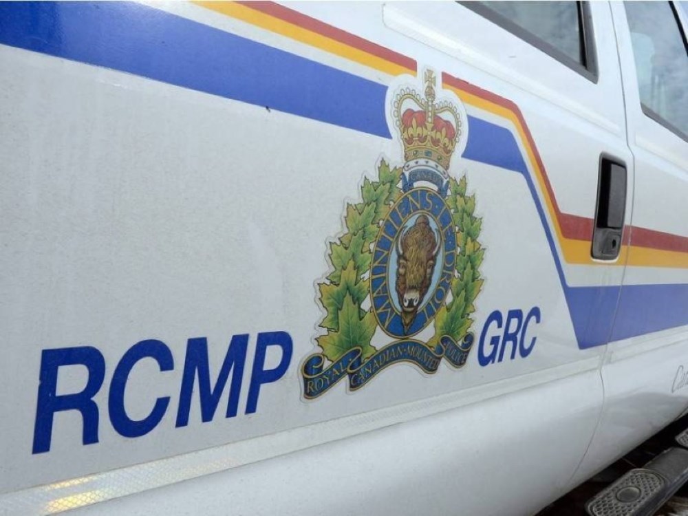 RCMP charge man after he cuts down residential tree and leaves it on car hood south of Calgary