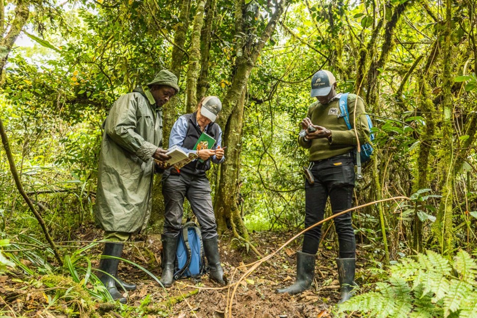 fieldwork-kenya