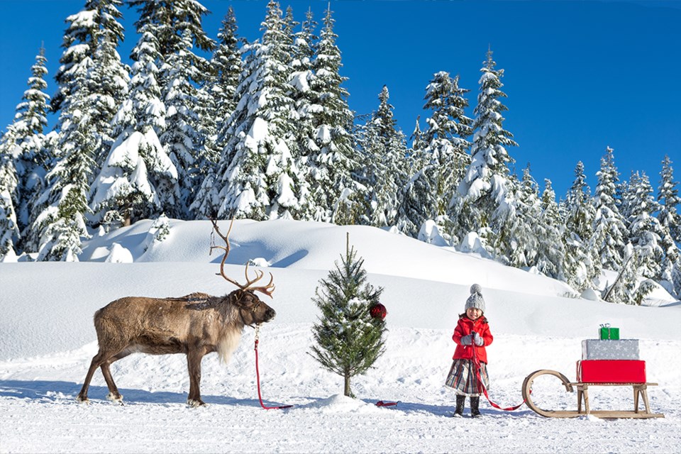 grouse-mountain