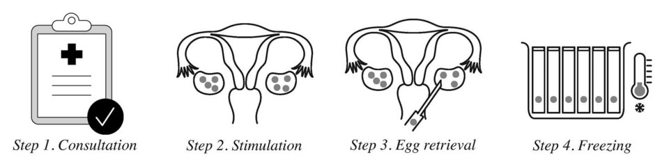 olive-fertility-infographic