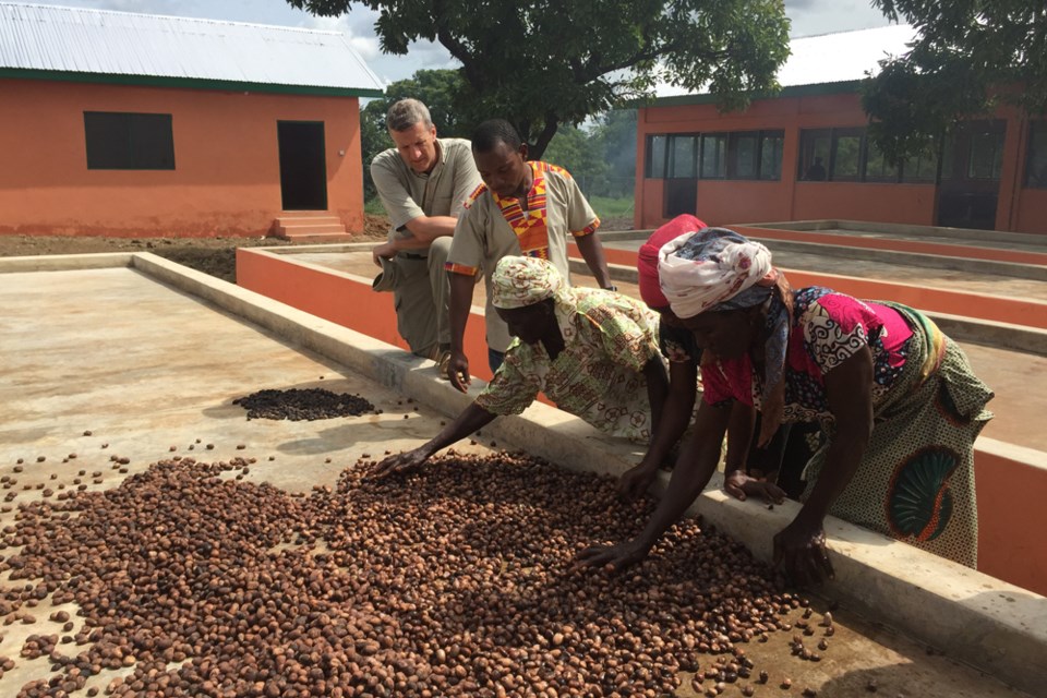 seed-sorting