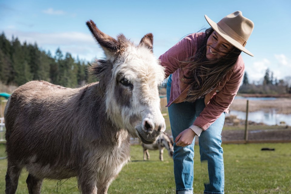 tourism-cowichan-donkey