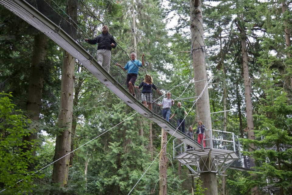 UBC Treewalk - VTC