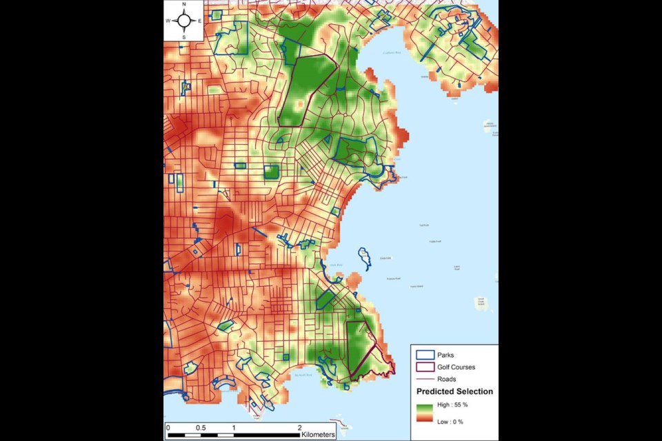 Black-tailed deer habitat use in Oak Bay. Green areas represent areas with high predicted deer habitat-use, while areas with low predicted habitat-use are shown in red. Via District of Oak Bay from Interim Report: September 2021 prepared for Oak Bay council 