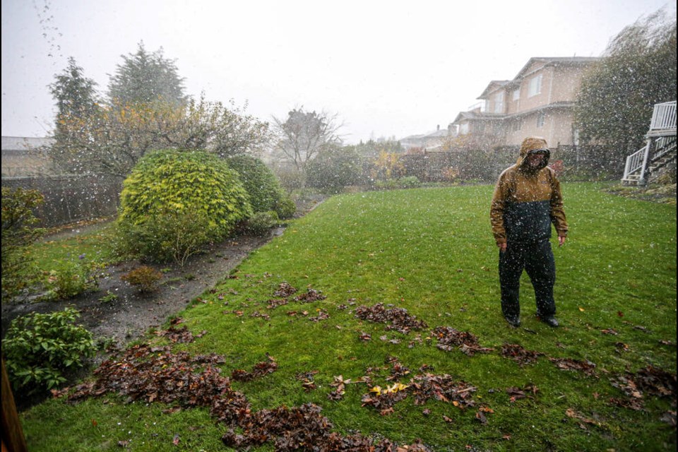 Derek Griffin checks on the property of his mother, Dorothy Griffin, on Landsdowne Road, where water flowed off the street and into her back garden, leaving a trail of leaves. ADRIAN LAM, TIMES COLONIST 
