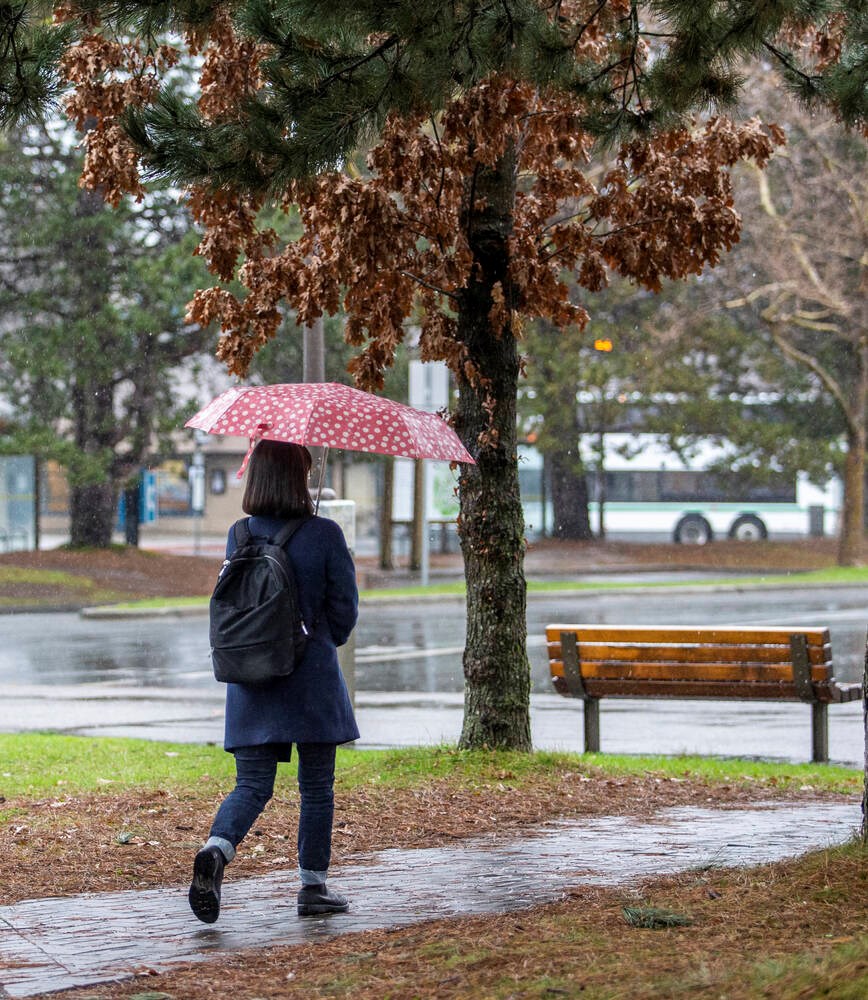 Heavy rain starts to hit Vancouver Island, flooding expected - Times Colonist