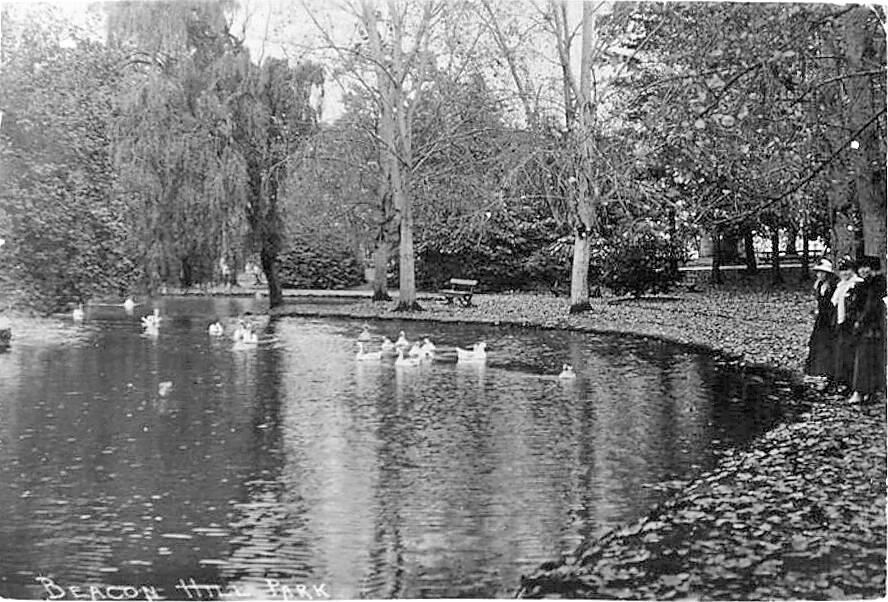 Beacon Hill Park, where Emily and her mother picnicked not long before her mother died.  J. HOWARD A. CHAPMAN 