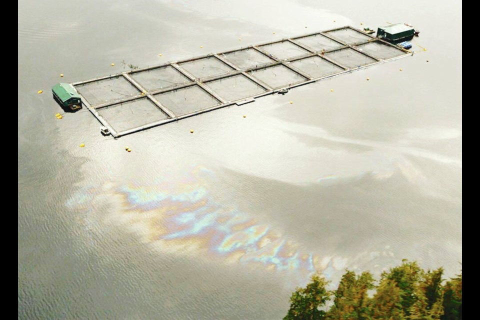 The spill from the fish farm at Echo Bay spread over a one-kilometre radius. 